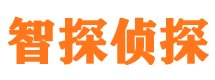 峨眉山市调查公司